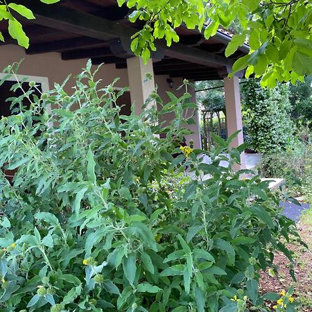 Apartman "Almond House 2" พูลา ภายนอก รูปภาพ